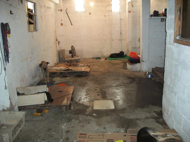 back room area