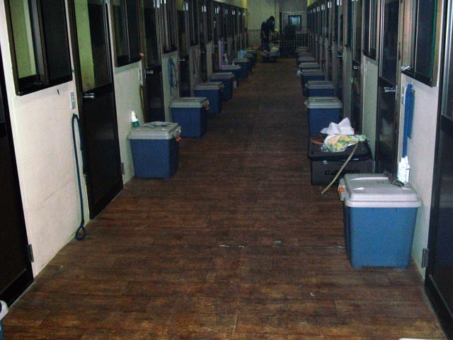 individual room shelter in Niigata