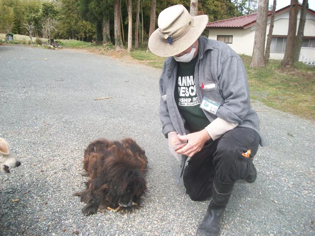 extremely matted dog with his greedy partner