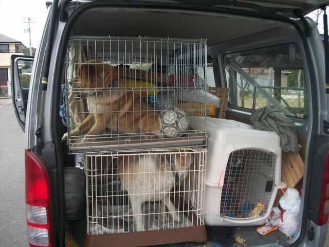 interior of van