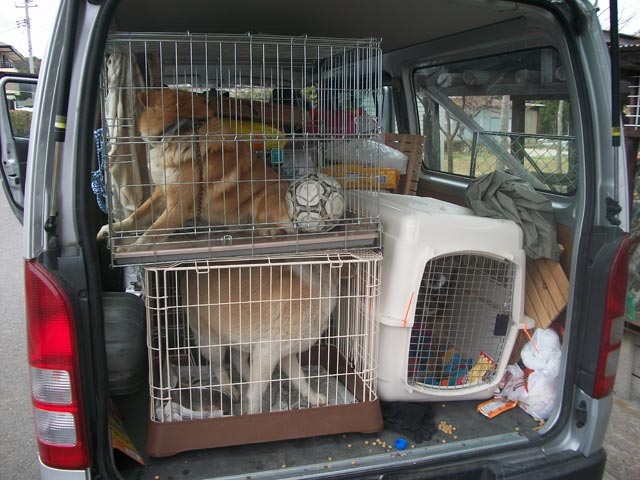 interior of van