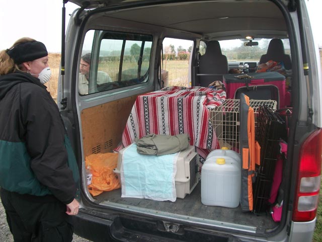 back of the van, loading animals