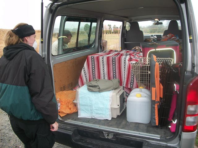 back of the van, loading animals