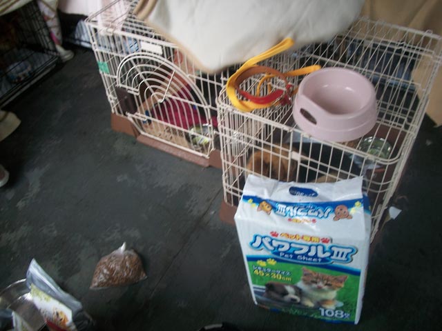 the decontamination area at the shelter