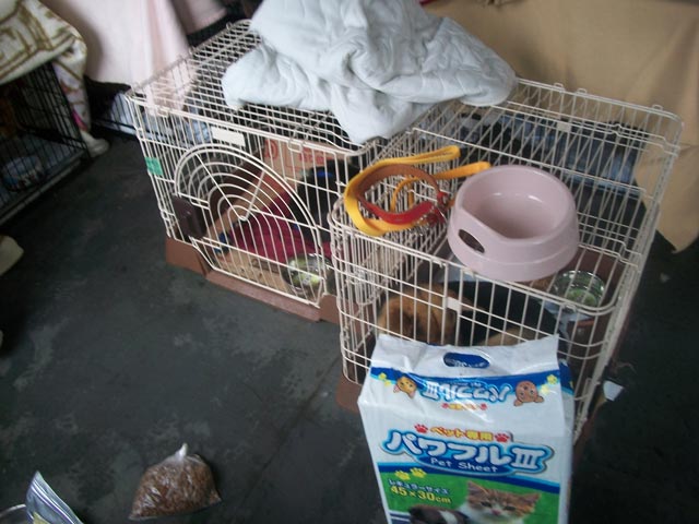 the decontamination area at the shelter