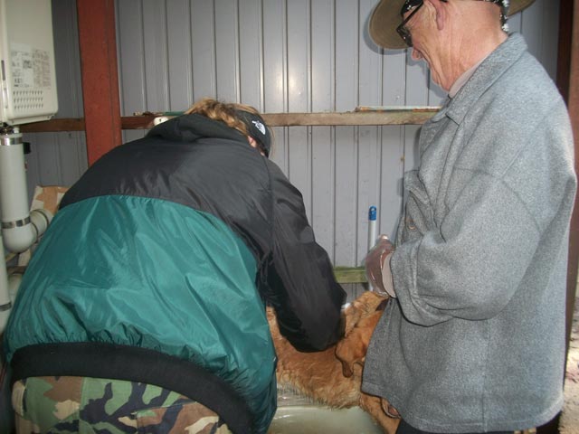 going through the decontamination process