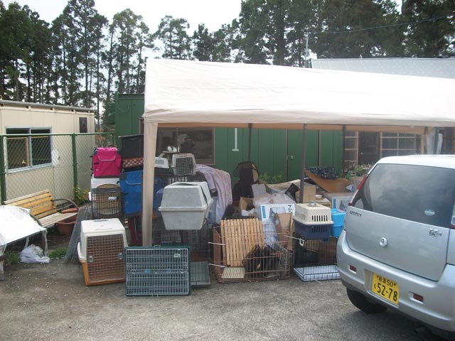 supply area at the shelter