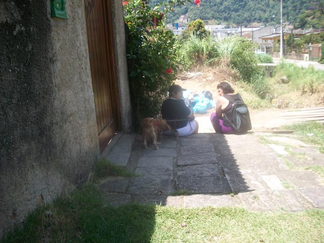 volunteer taking dogs for a walk