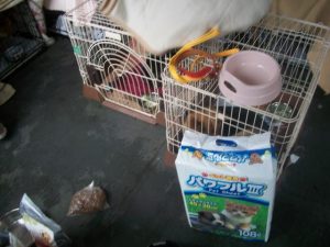 the decontamination area at the shelter