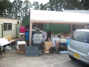 supply area at the shelter