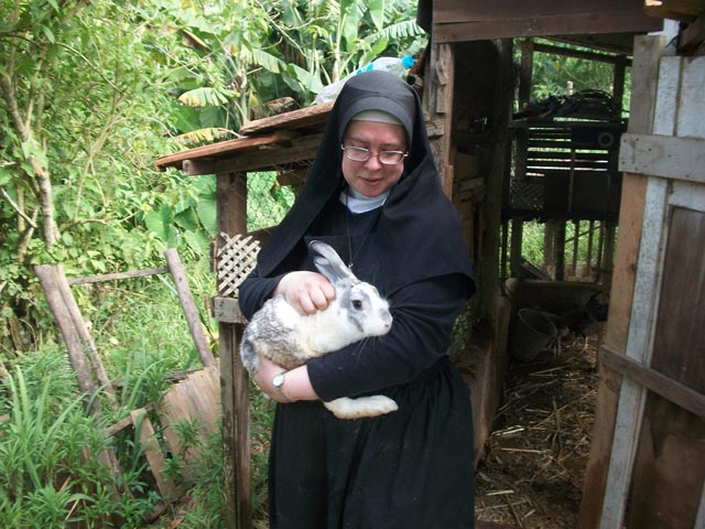 Sister Marie and her new flock